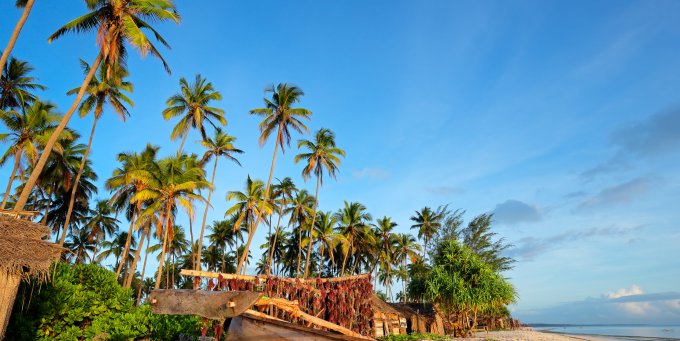 Zanzibaras